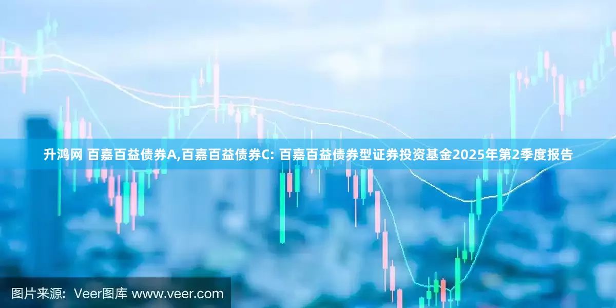 升鸿网 百嘉百益债券A,百嘉百益债券C: 百嘉百益债券型证券投资基金2025年第2季度报告