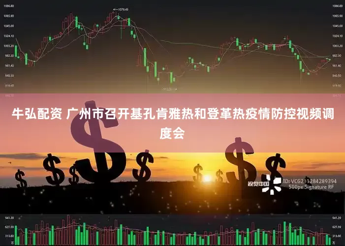 牛弘配资 广州市召开基孔肯雅热和登革热疫情防控视频调度会