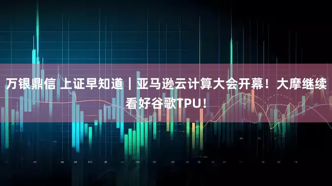 万银鼎信 上证早知道｜亚马逊云计算大会开幕！大摩继续看好谷歌TPU！